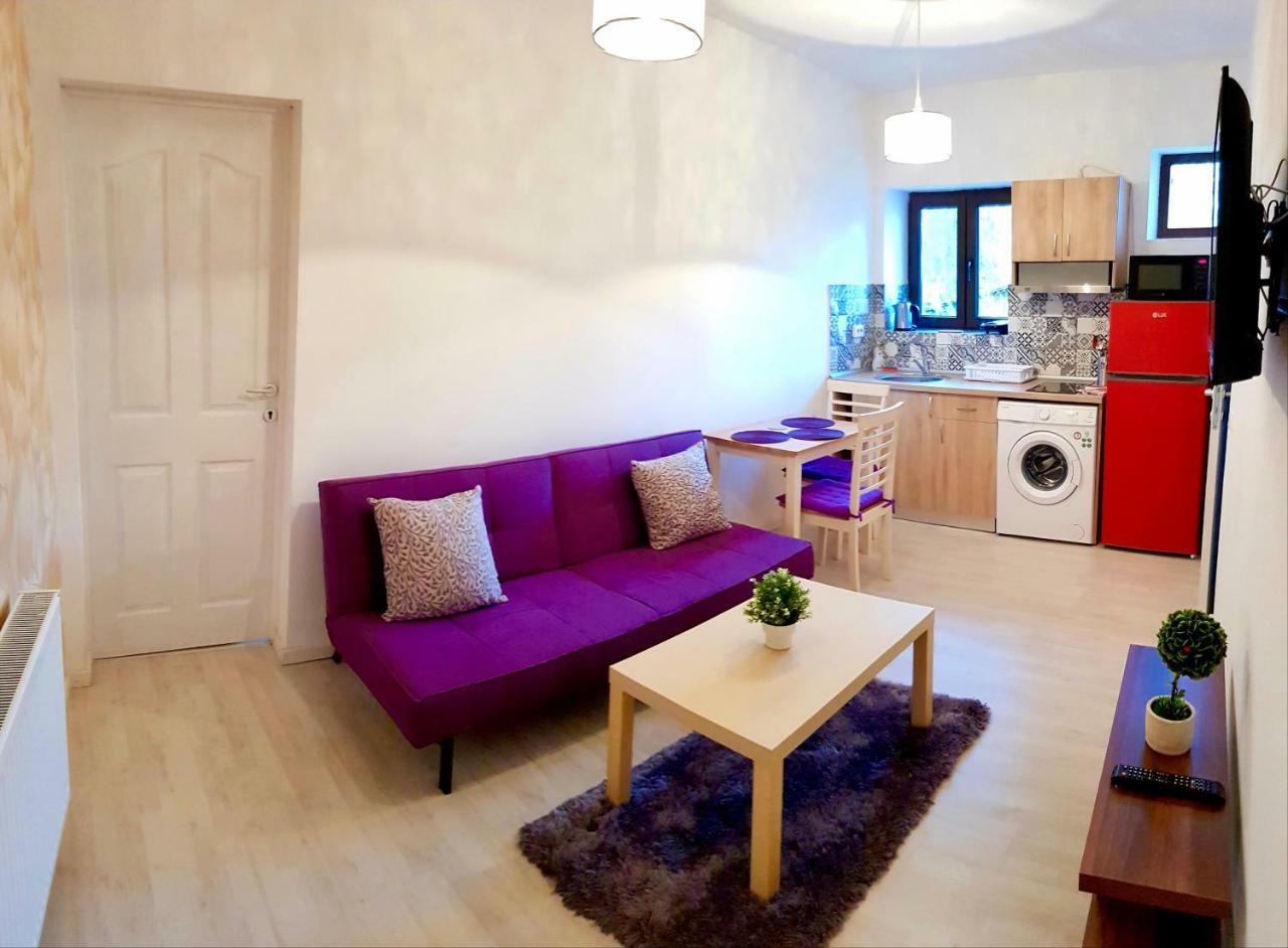 Cismigiu Grand Residence Bucarest Extérieur photo